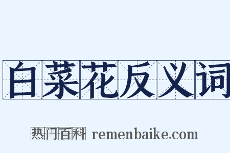 白菜花反义词是什么意思的图片